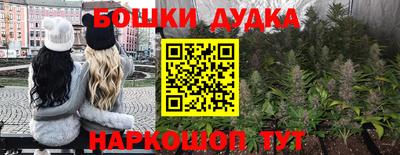 сатива Малгобек