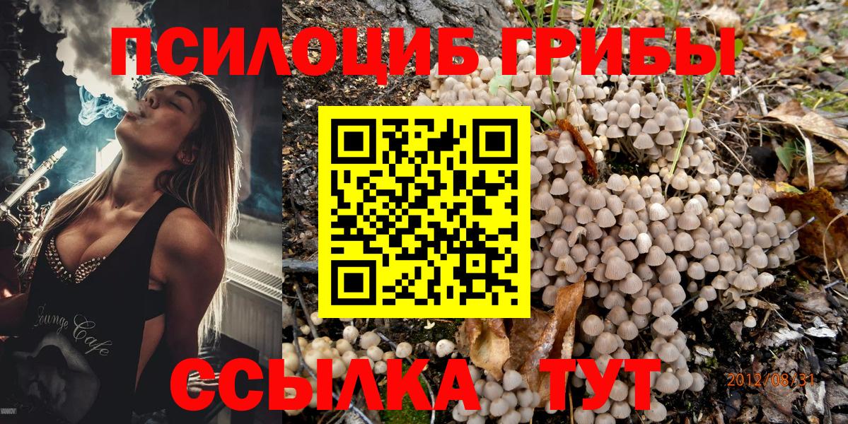 Галлюциногенные грибы GOLDEN TEACHER  Вход с VPN  Галлюциногенные грибы Psilocybe  Шадринск 