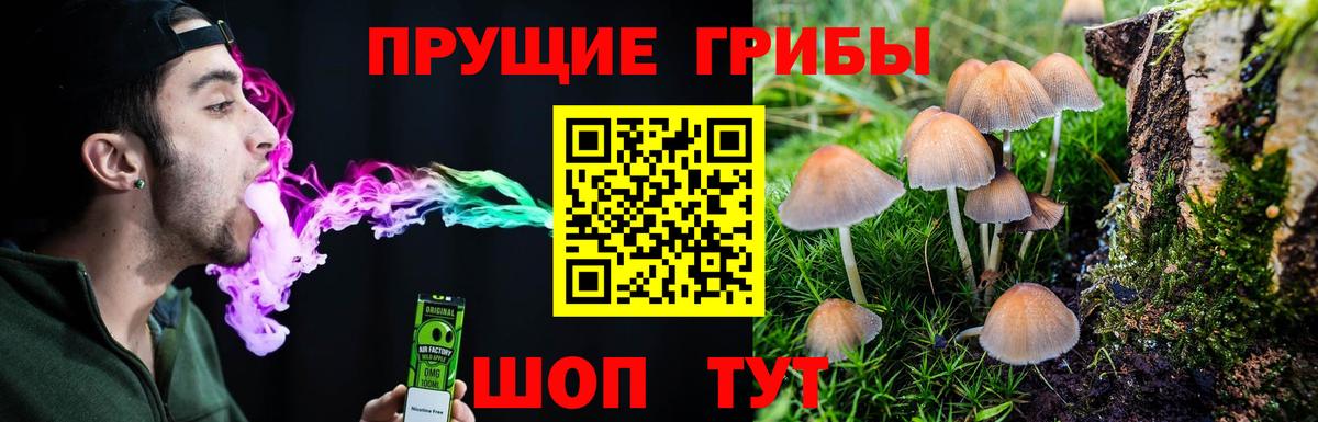 Галлюциногенные грибы мицелий Шадринск